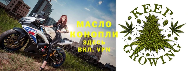 молекула духа Алексин