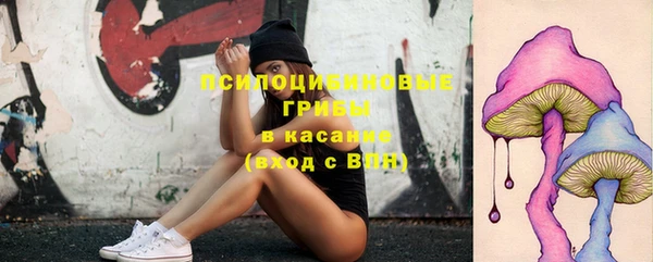 герыч Лиски