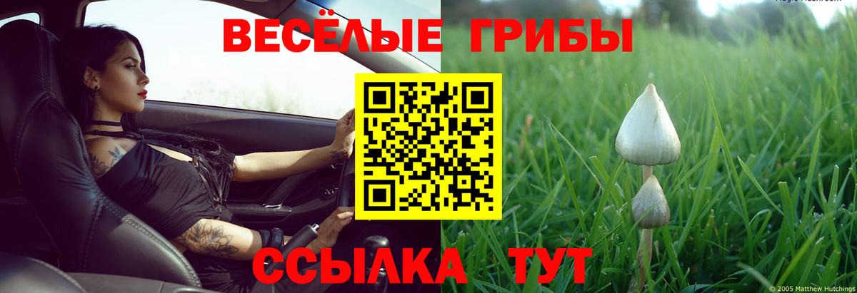 Галлюциногенные грибы Psilocybine cubensis  дарнет шоп  Краснодар  Псилоцибиновые грибы мицелий 